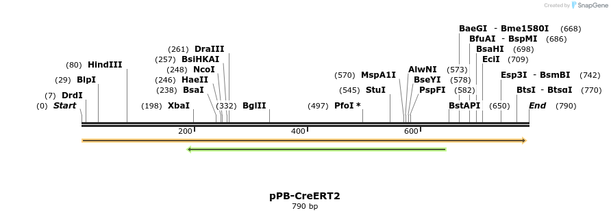 478693_map
