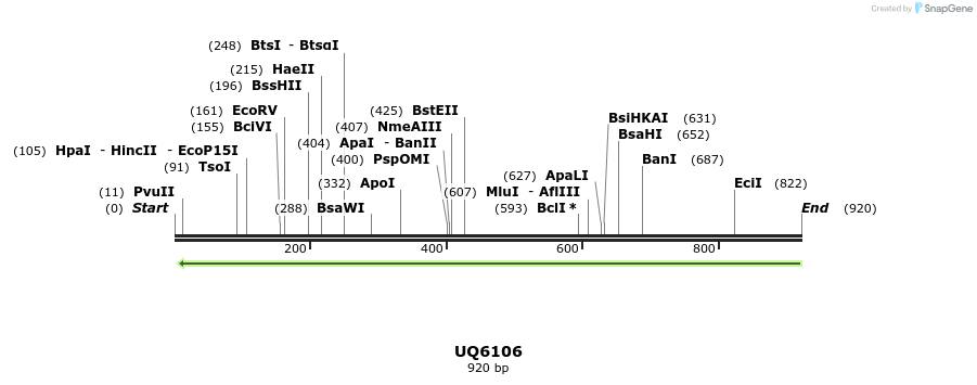 47870_map
