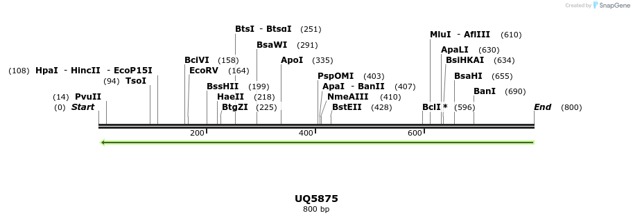 47873_map