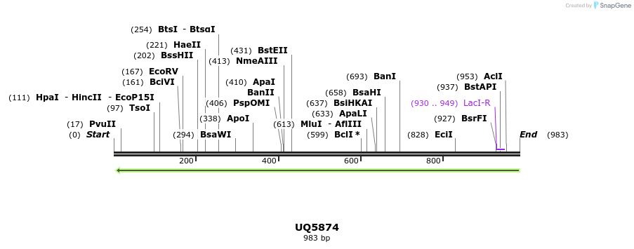 47876_map