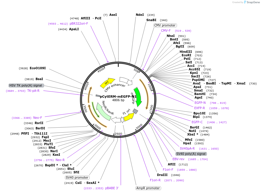 478768_map
