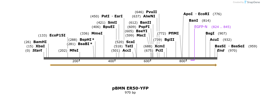 47877_map