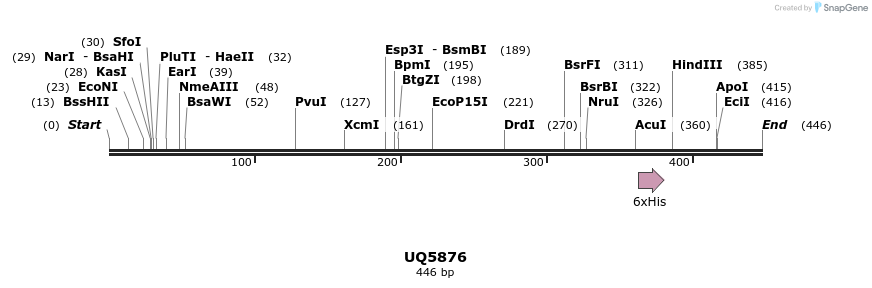 47878_map