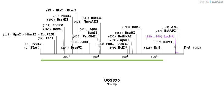 47879_map