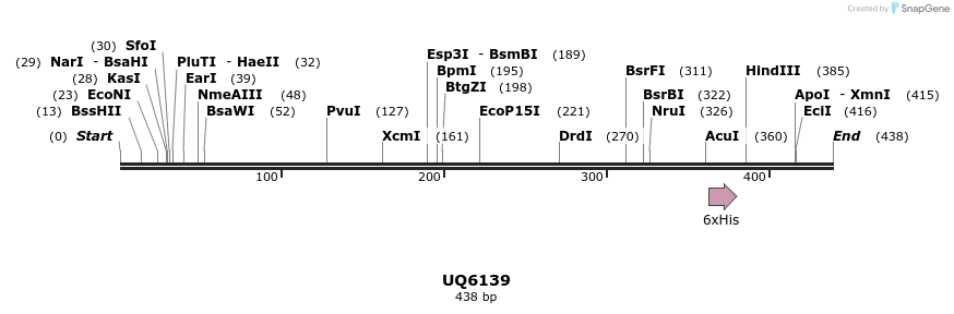 47882_map
