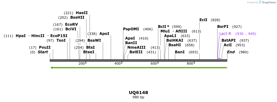 47885_map