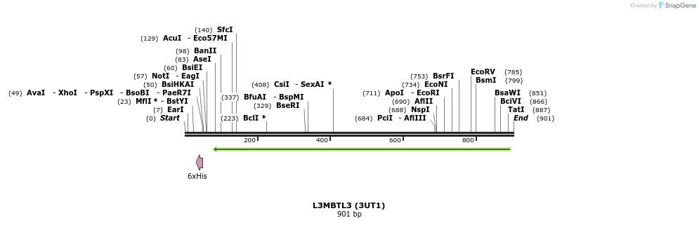47886_map