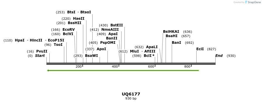 47888_map