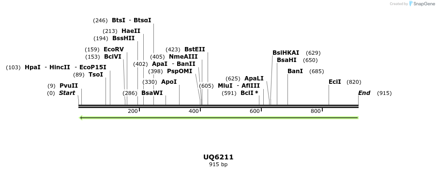 47890_map