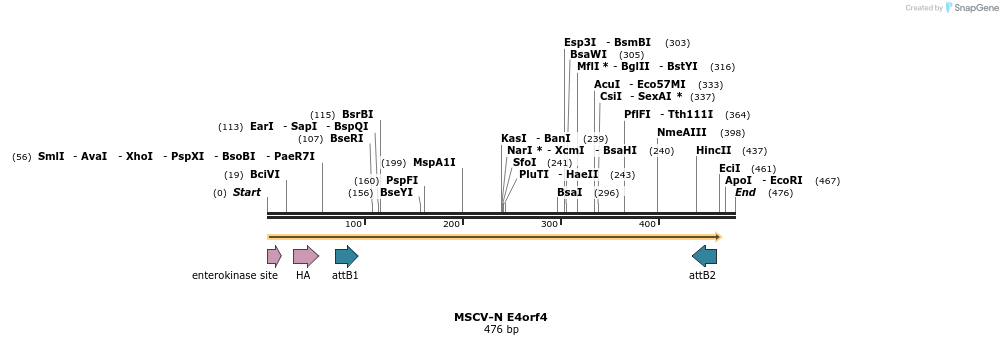 47896_map
