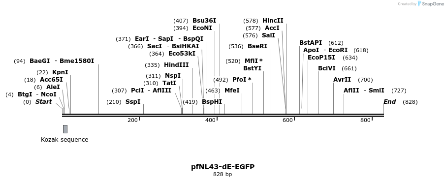 47897_map