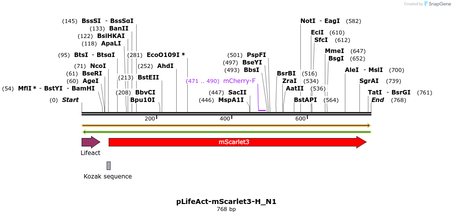 478995_map