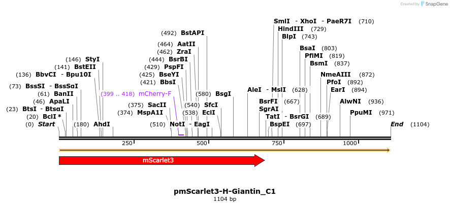 478996_map