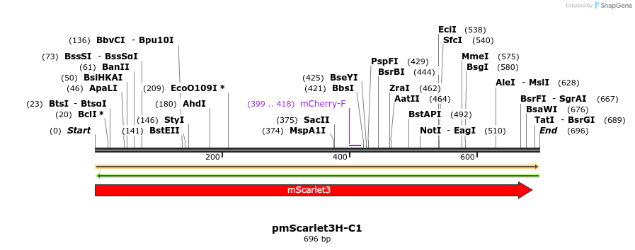 478998_map
