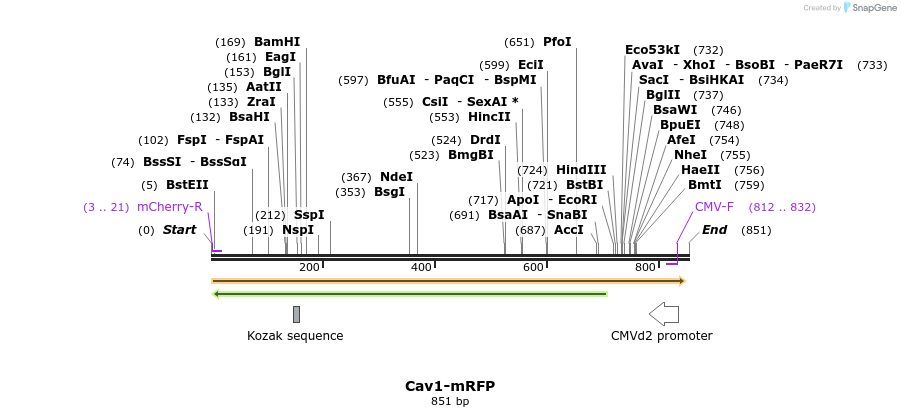 47901_map