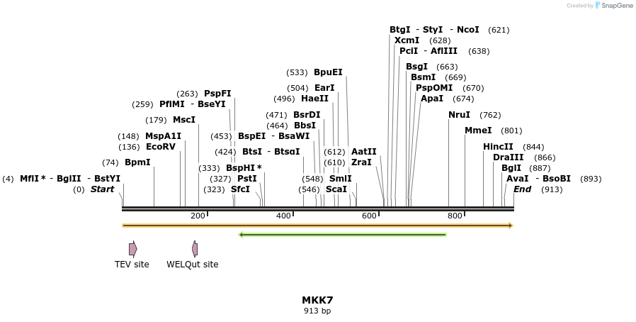 47902_map