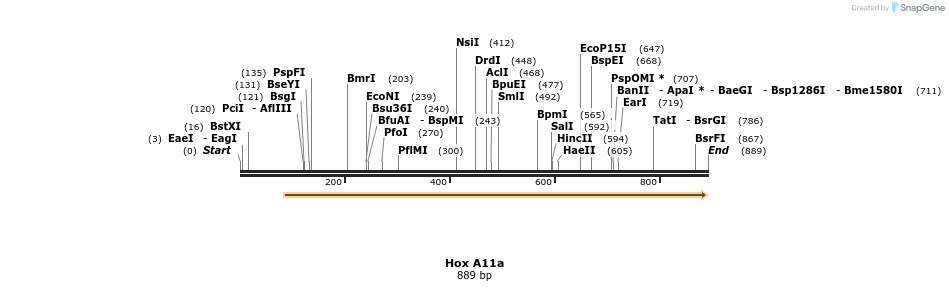 47905_map