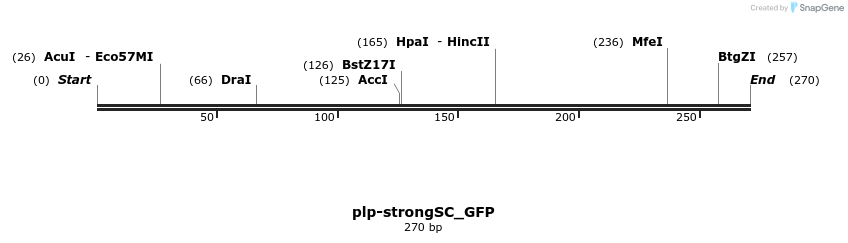 47907_map