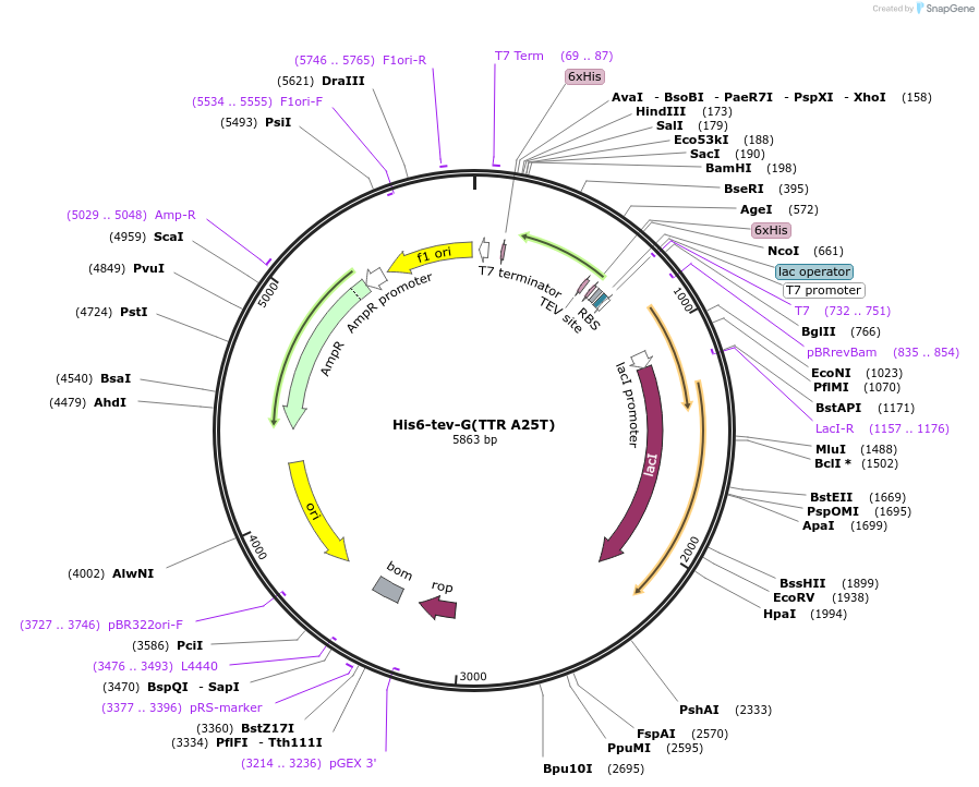 479082_map