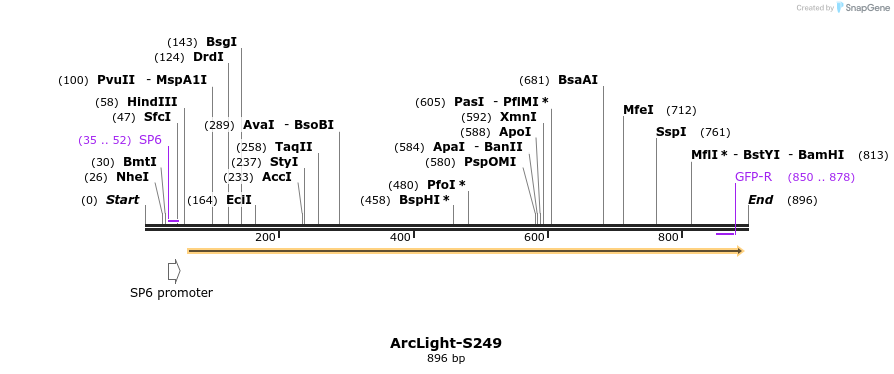 47911_map