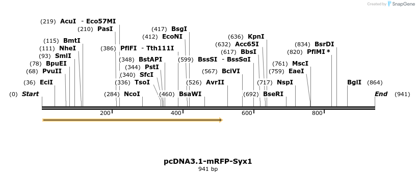 47917_map
