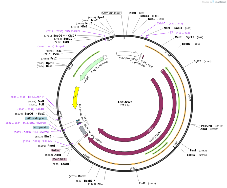 479201_map