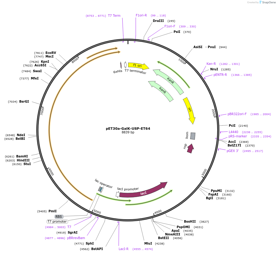 479222_map