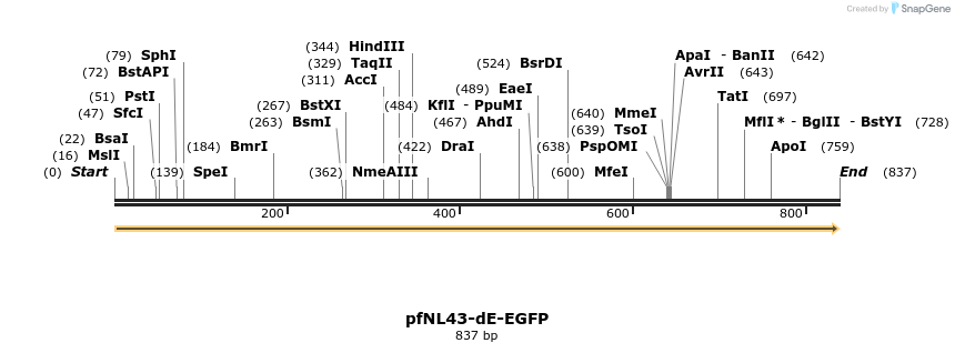 47924_map