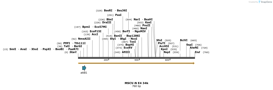 47925_map