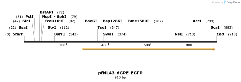 47926_map