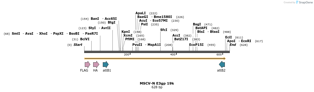 47927_map