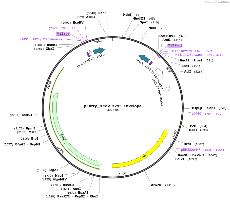 479309_map
