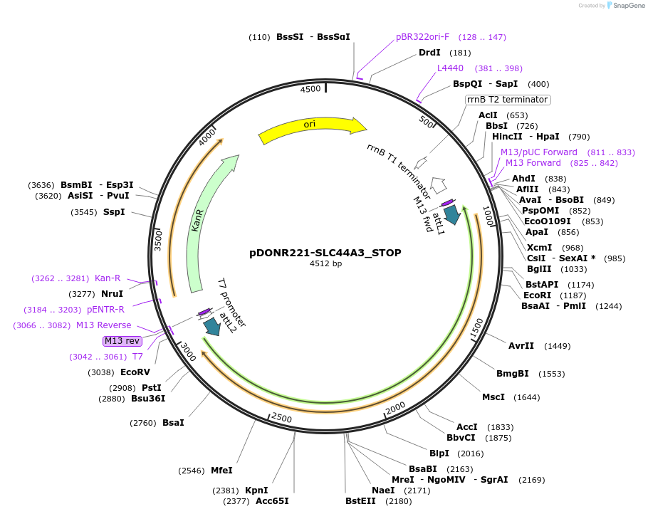 479327_map