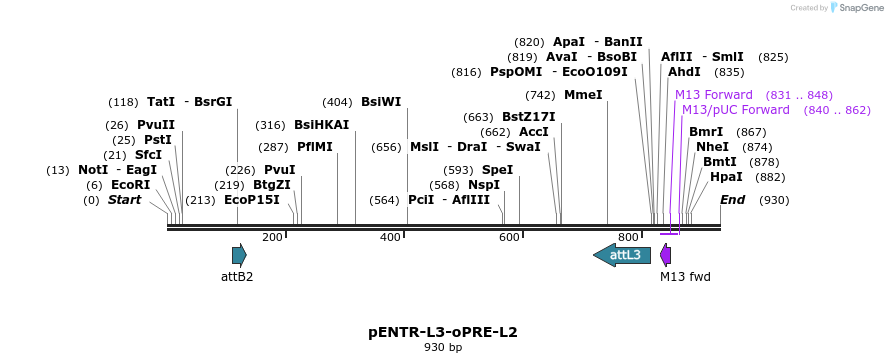 47946_map