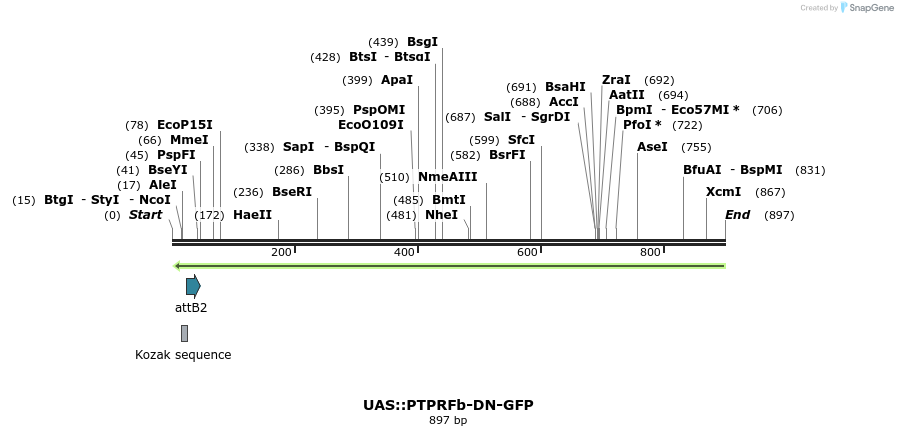 47949_map