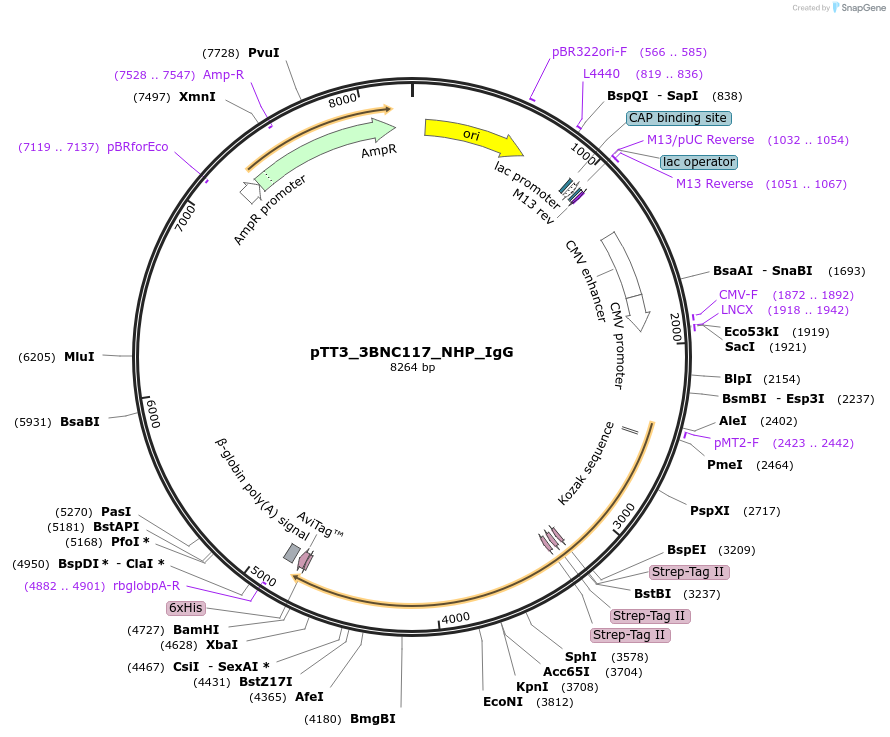 479504_map