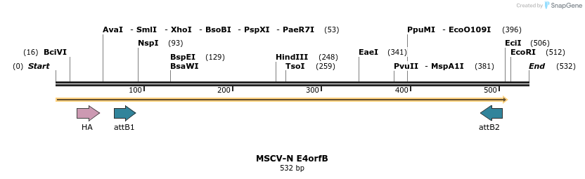47953_map