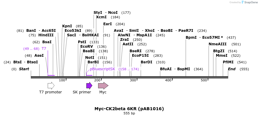 47978_map