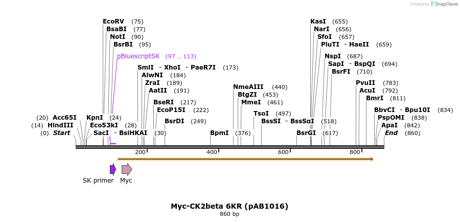 47980_map