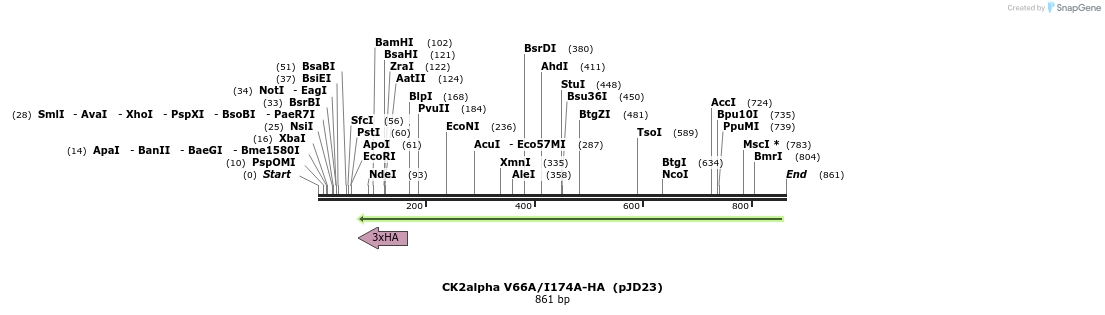 47985_map