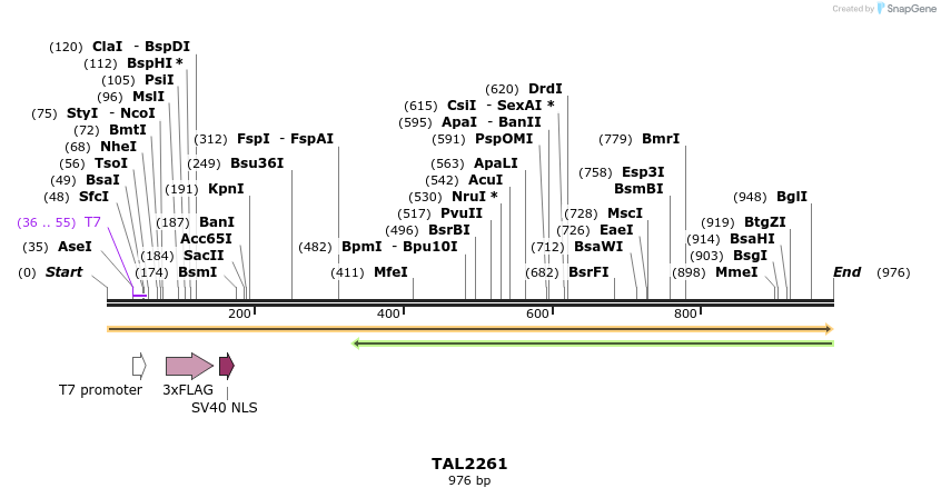 47986_map