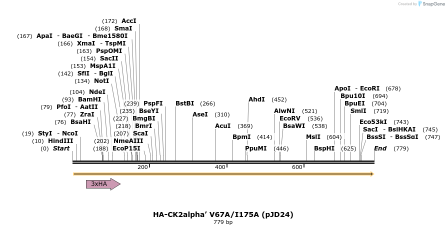 47987_map