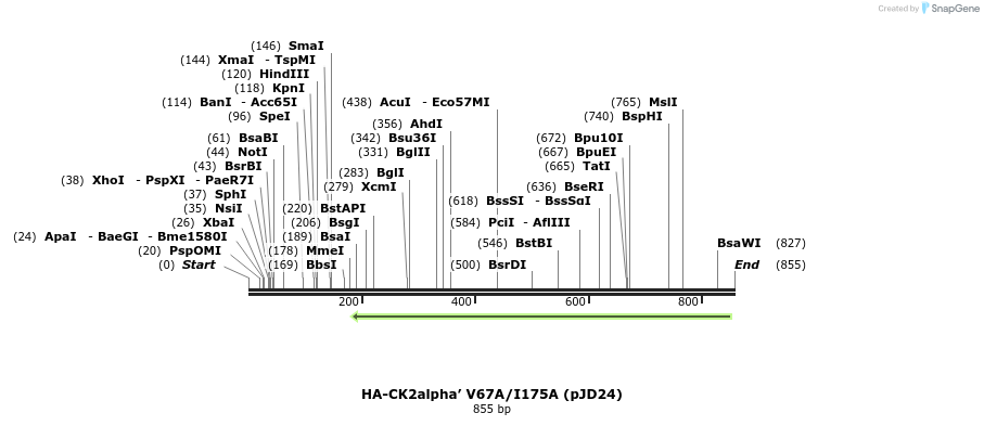 47990_map