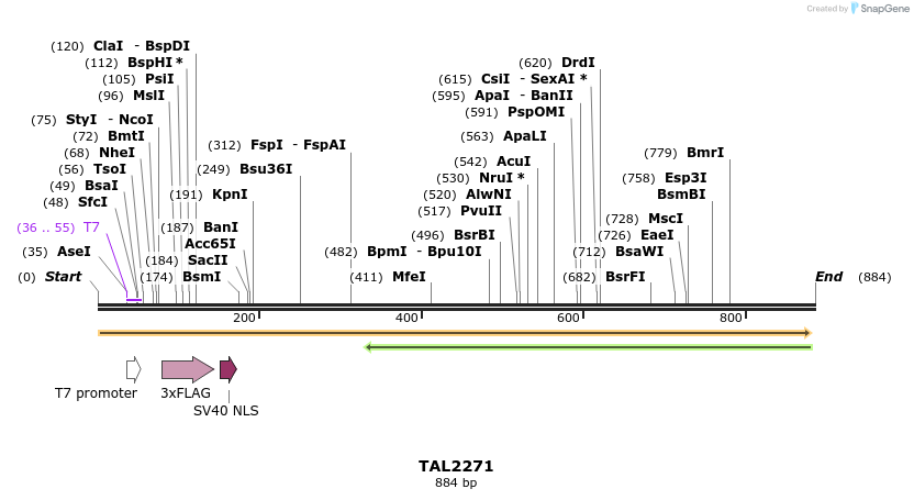 47991_map