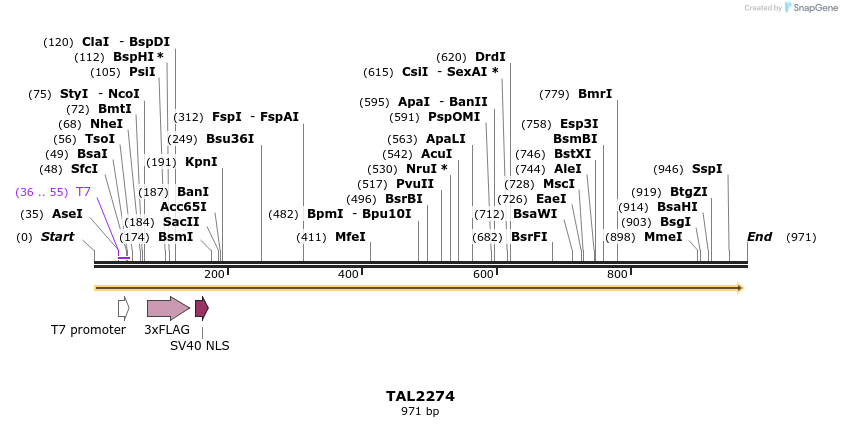 47996_map
