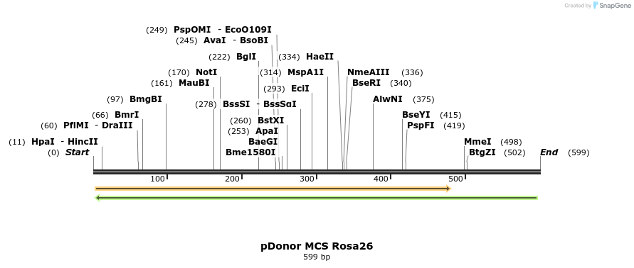 48002_map