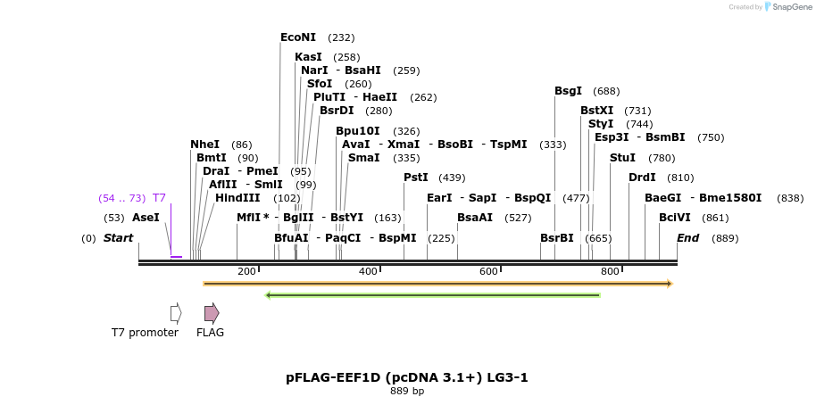 48004_map