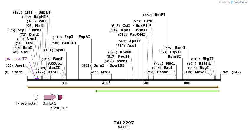 48007_map