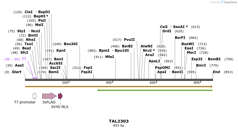 48009_map