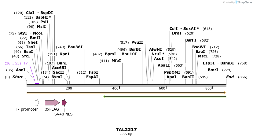 48016_map